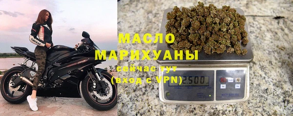 твердый Горняк