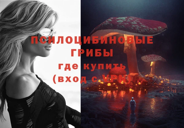 твердый Горняк
