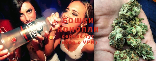 твердый Горняк