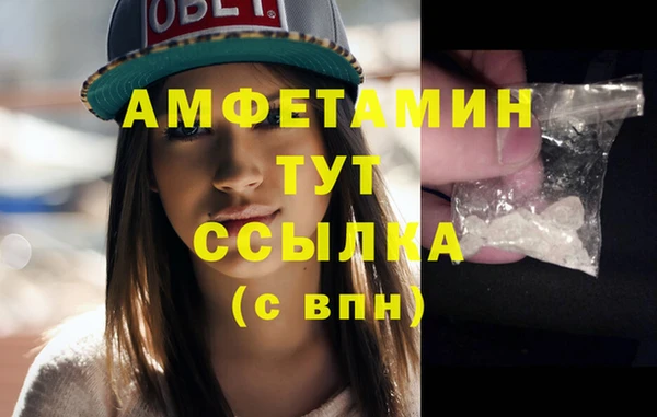 твердый Горняк