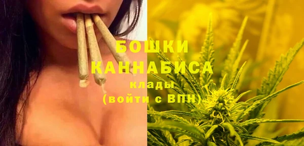 твердый Горнозаводск