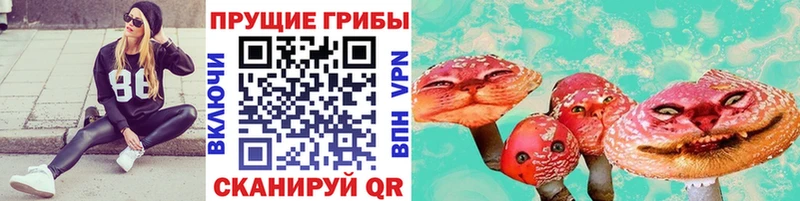 Псилоцибиновые грибы ЛСД  дарнет шоп  Гусиноозёрск 